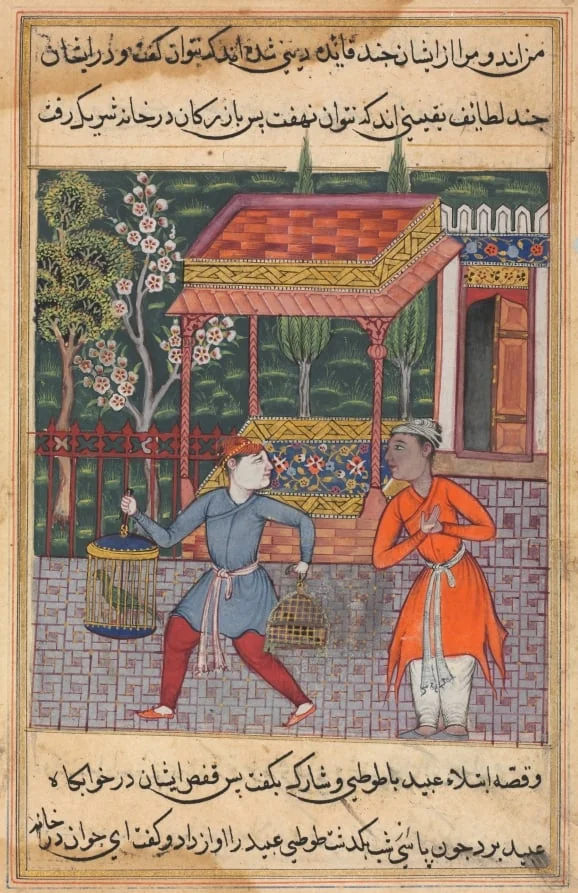 The merchant of Tirmiz takes the wise parrot and myna to ‘Ubaid, from a Tuti-nama (Tales of a Parrot): Forty-second Night, detail