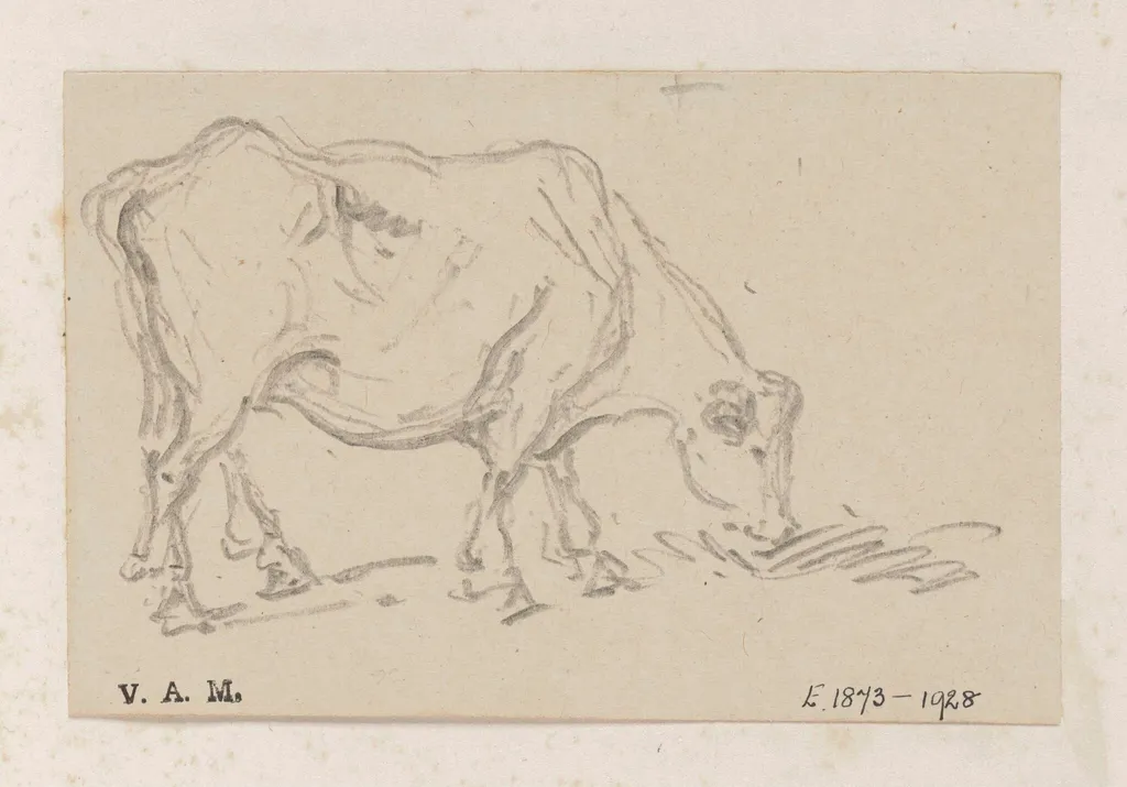 A grazing cow, by George Chinnery, 19