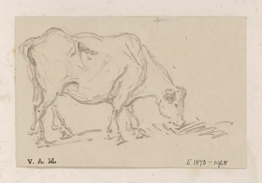 A grazing cow, by George Chinnery, 19