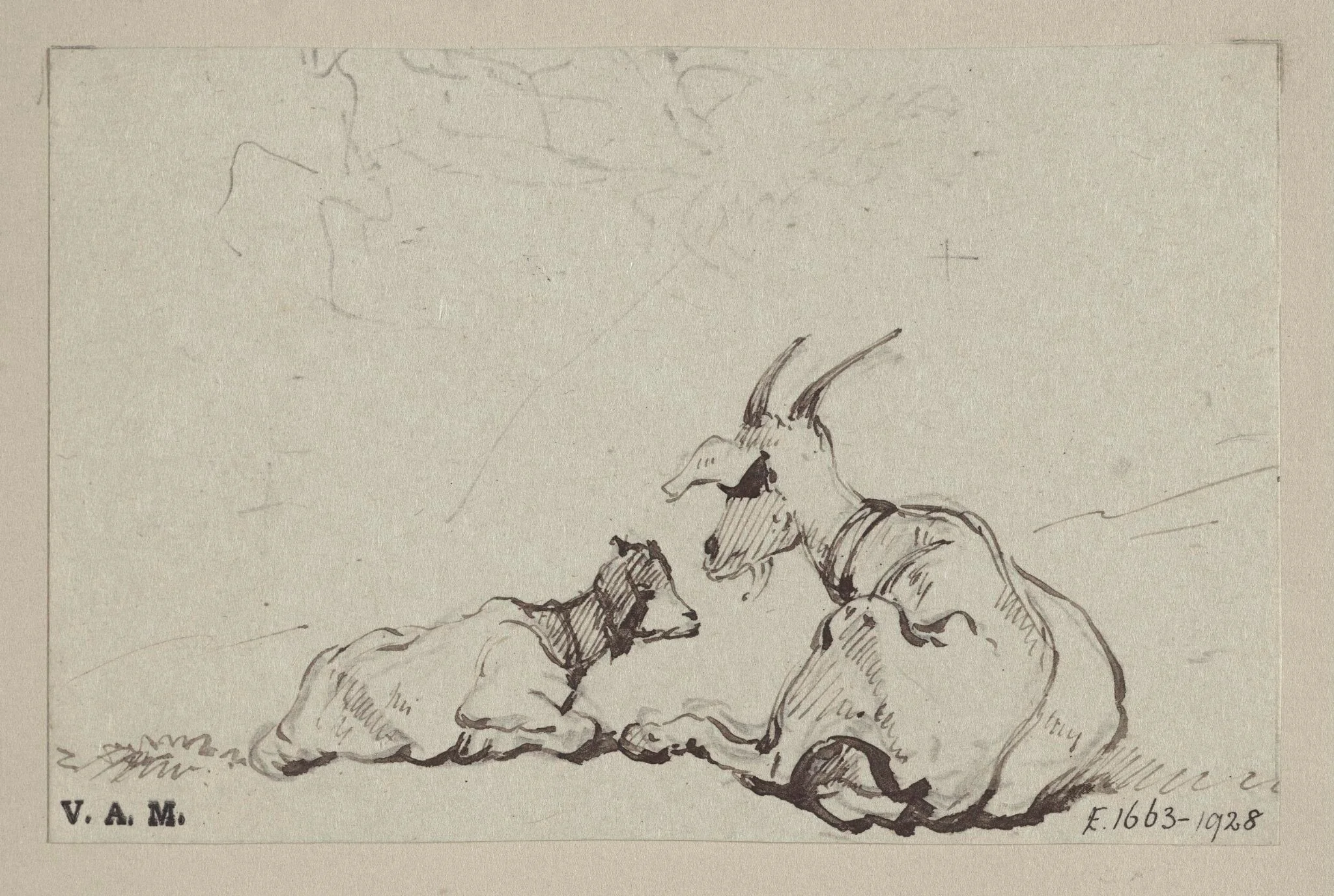 Two goats, detail