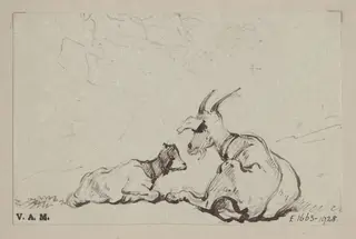 Two goats, by George Chinnery, 19