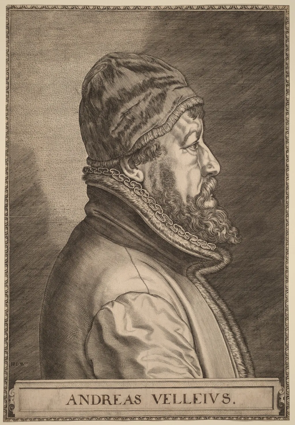 Andreas Velleius (Anders Sorensen Vedel), by Johan Wierix, ink, 1582