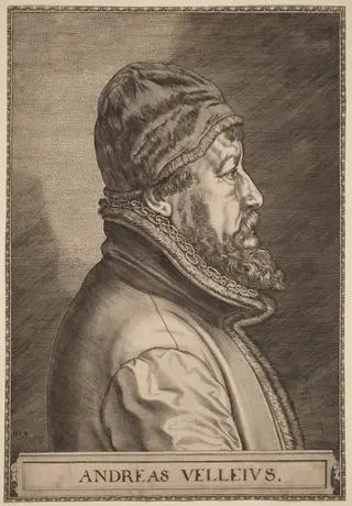 Andreas Velleius (Anders Sorensen Vedel), by Johan Wierix, ink, 1582
