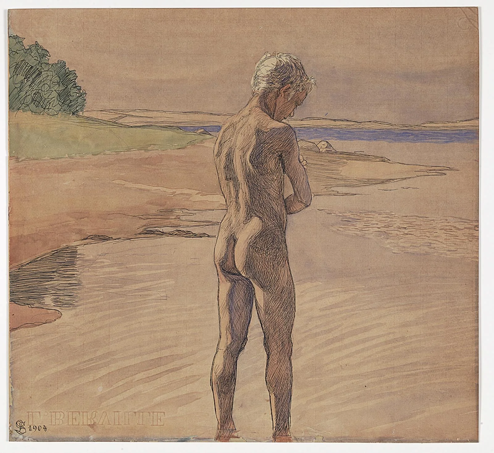 Hans stående i vandet. Motiv fra Fyns Hoved, detail