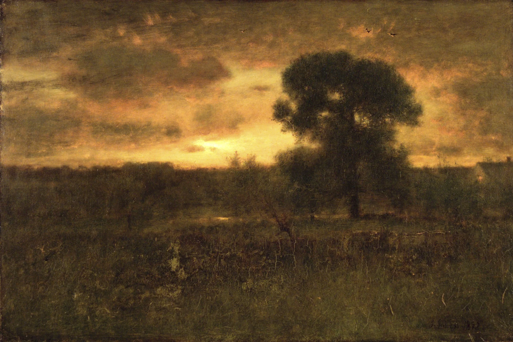 Sunrise, detail