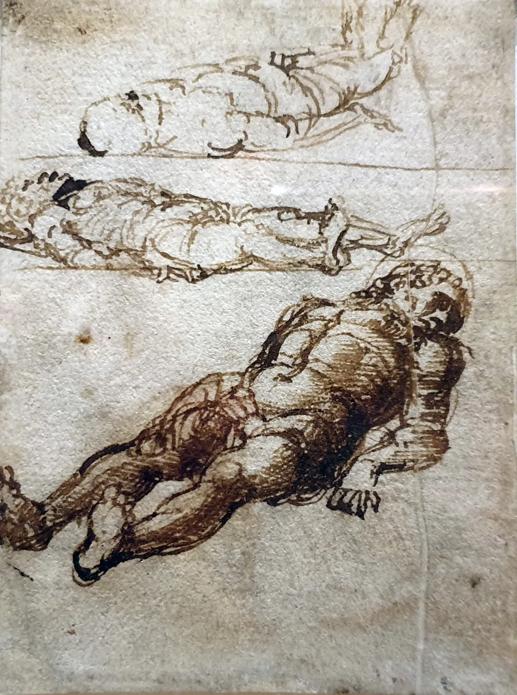 Three Studies for the Dead Christ, by Andrea Mantegna, unspecified, 1450