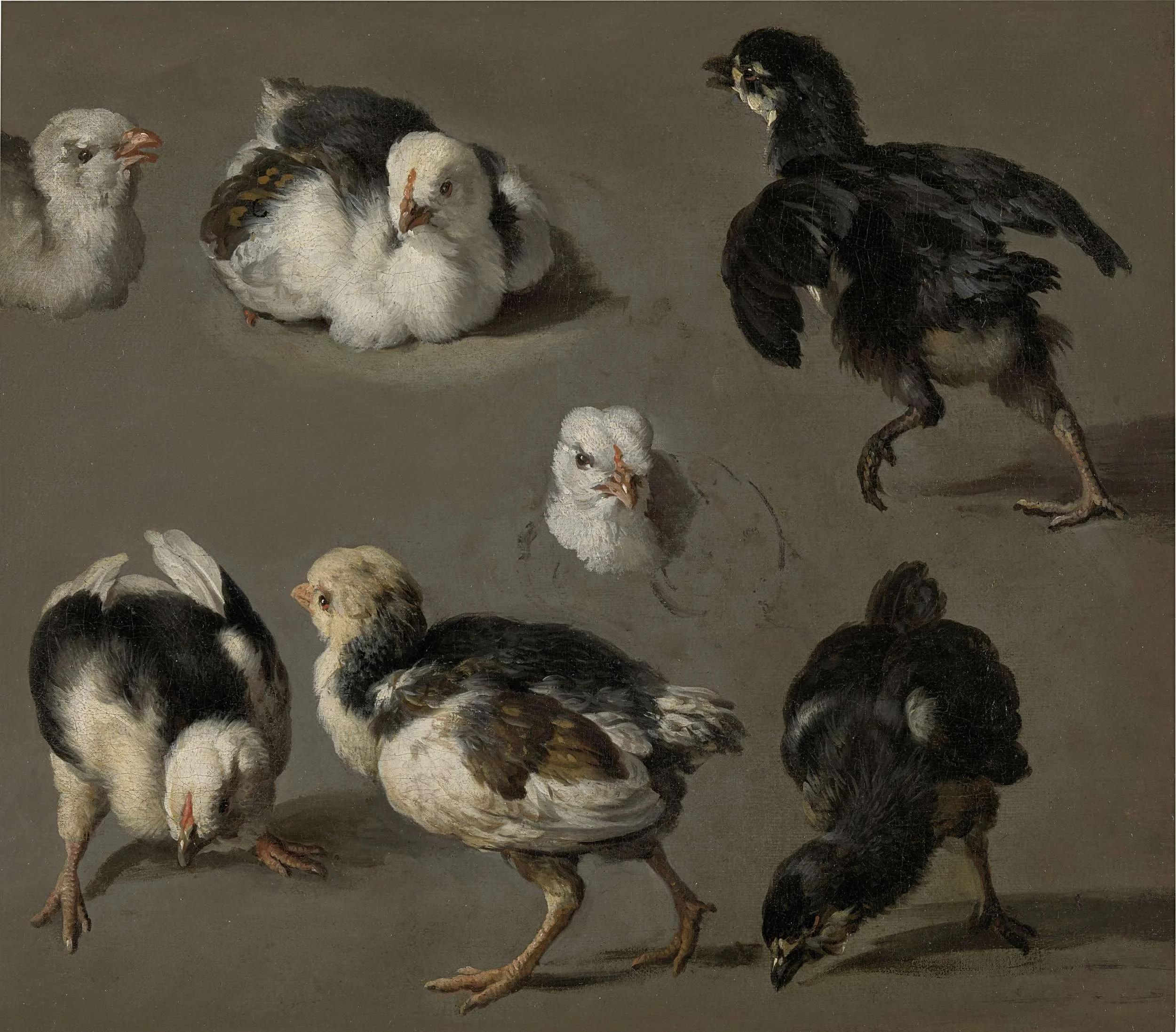 Seven Chicks, detail