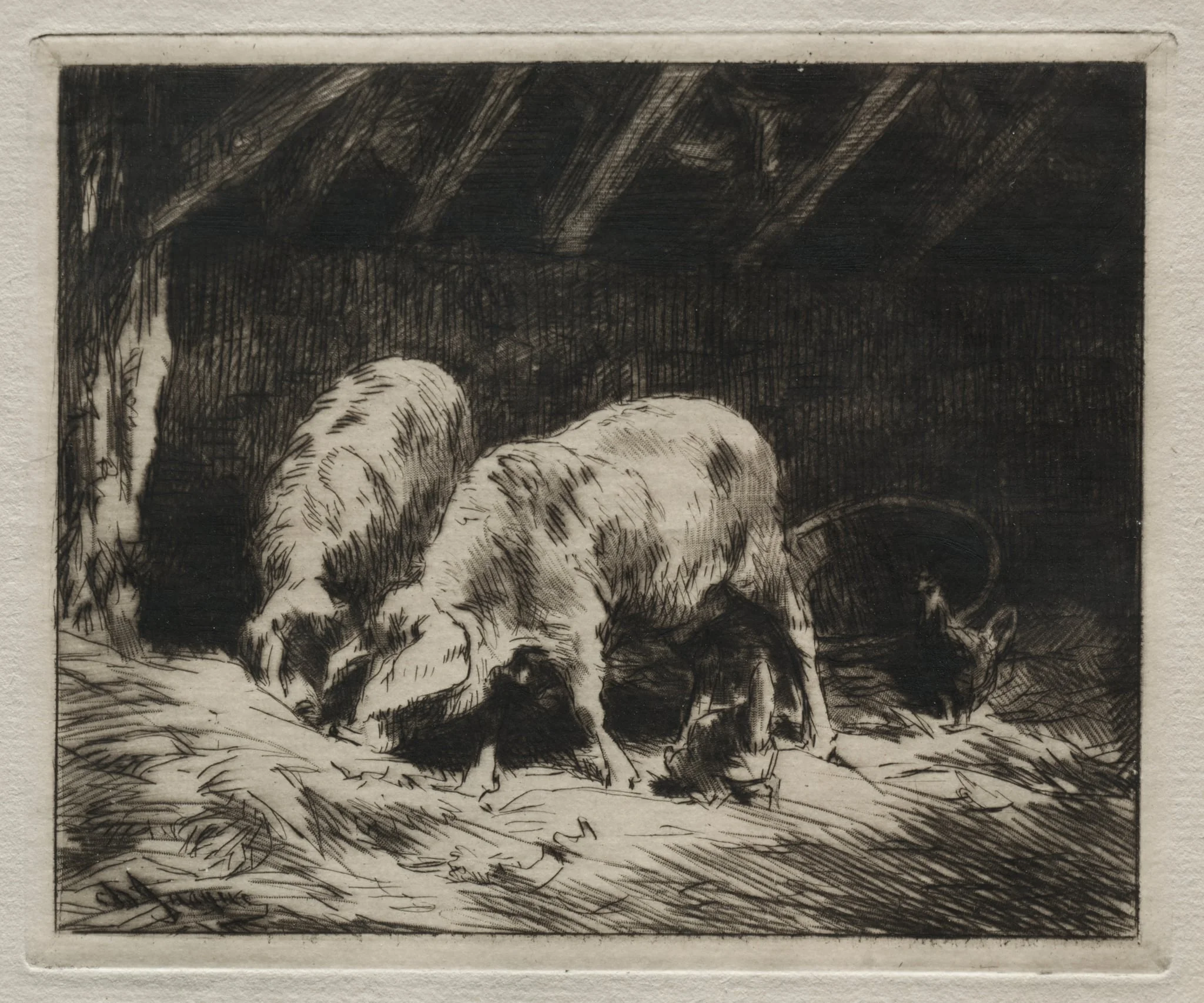 Two Pigs, detail