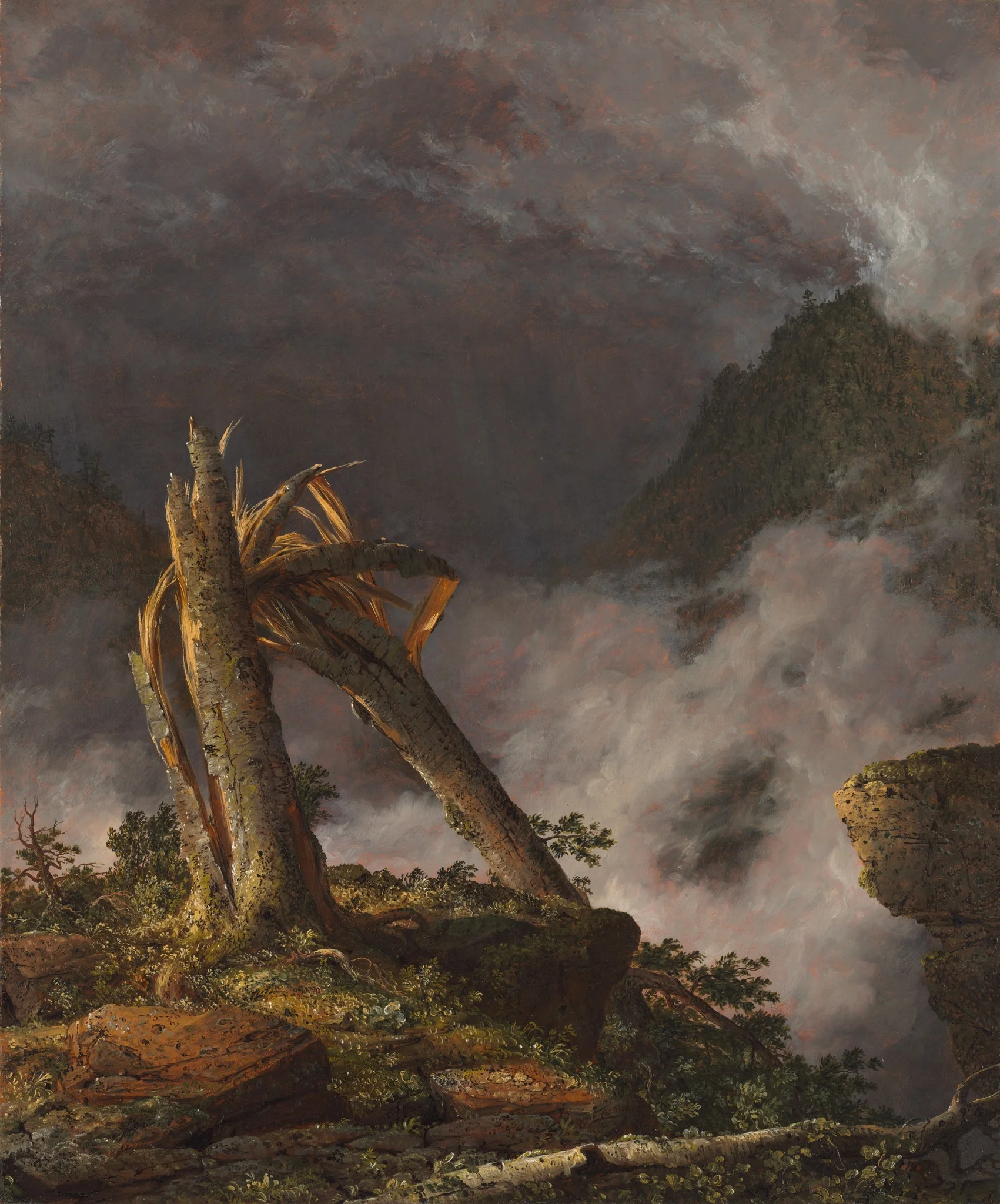 Storm in the Mountains, detail