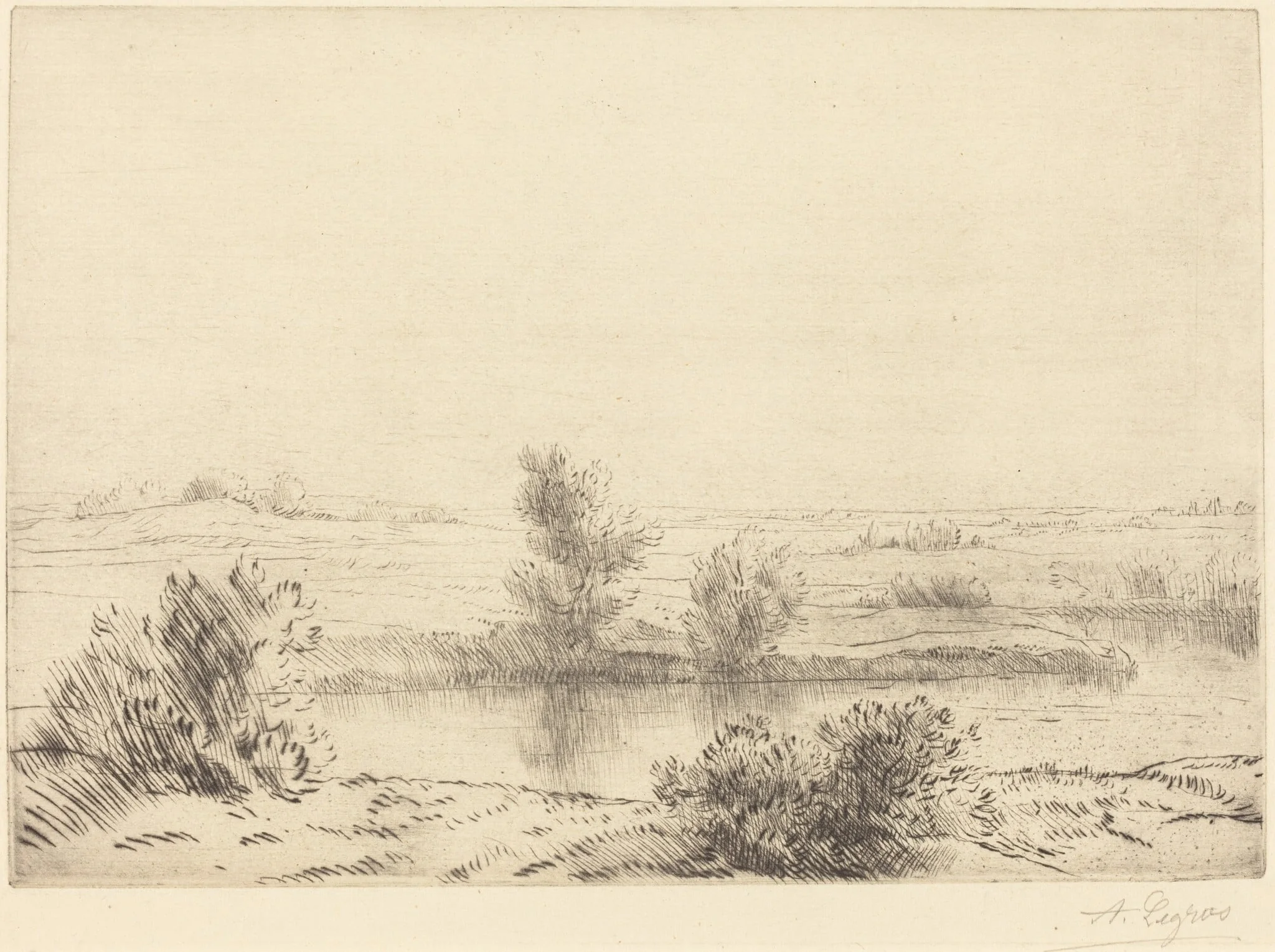Marsh (Les marais), detail
