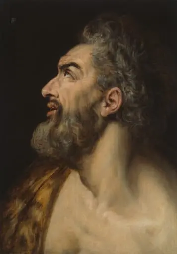 Study Head of a Bearded Man, by Frans Floris, I, oil, 1565