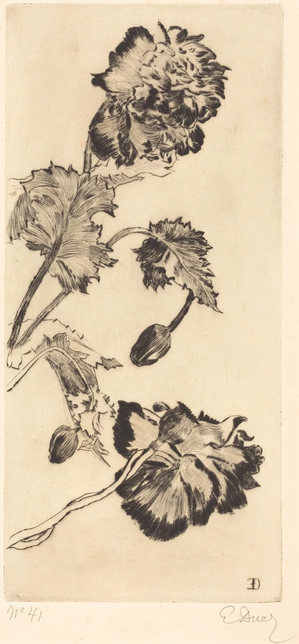 Flowers (Fleurs), detail