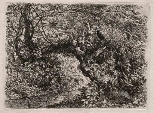 The Old Willow at a Brook, by Georg von Dillis, 1794