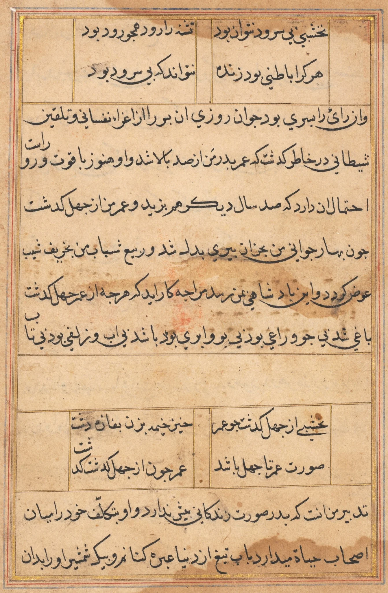 Page from Tales of a Parrot (Tuti-nama): text page, detail