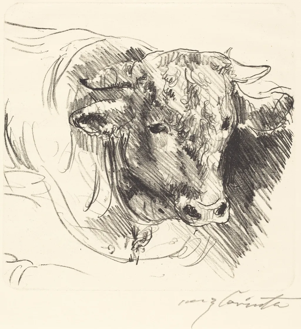 Stierkopf (Head of a Steer), by Lovis Corinth, ink, 1912