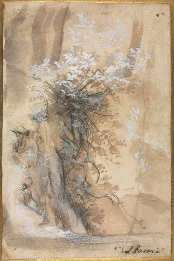 Flowering Bush above an Eroded Bank, detail