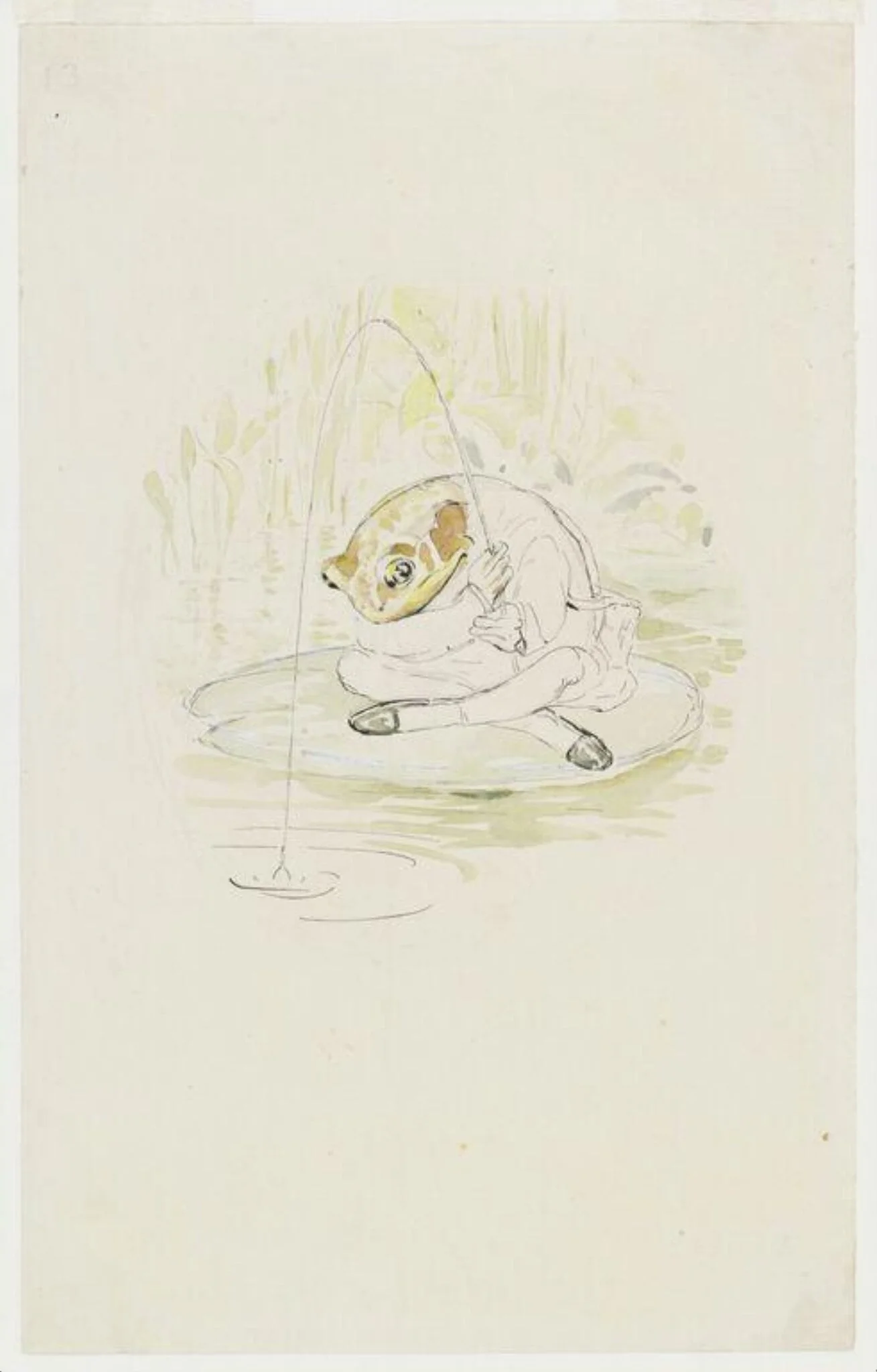 Jeremy Fisher sitting fishing on a waterlily leaf: preparatory drawing for The tale of Mr. Jeremy Fisher, detail