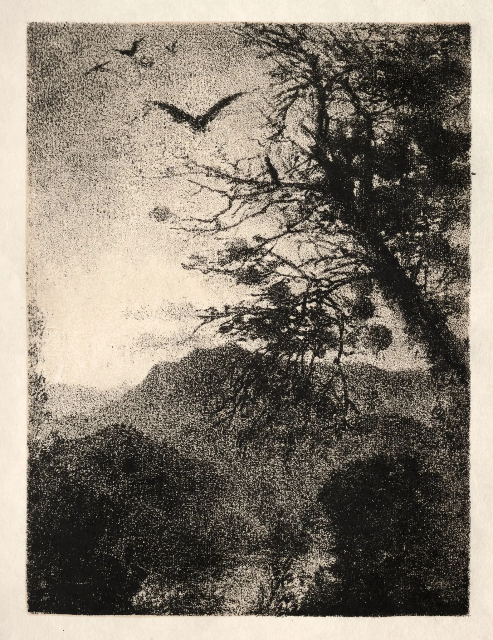 The Eagles, detail