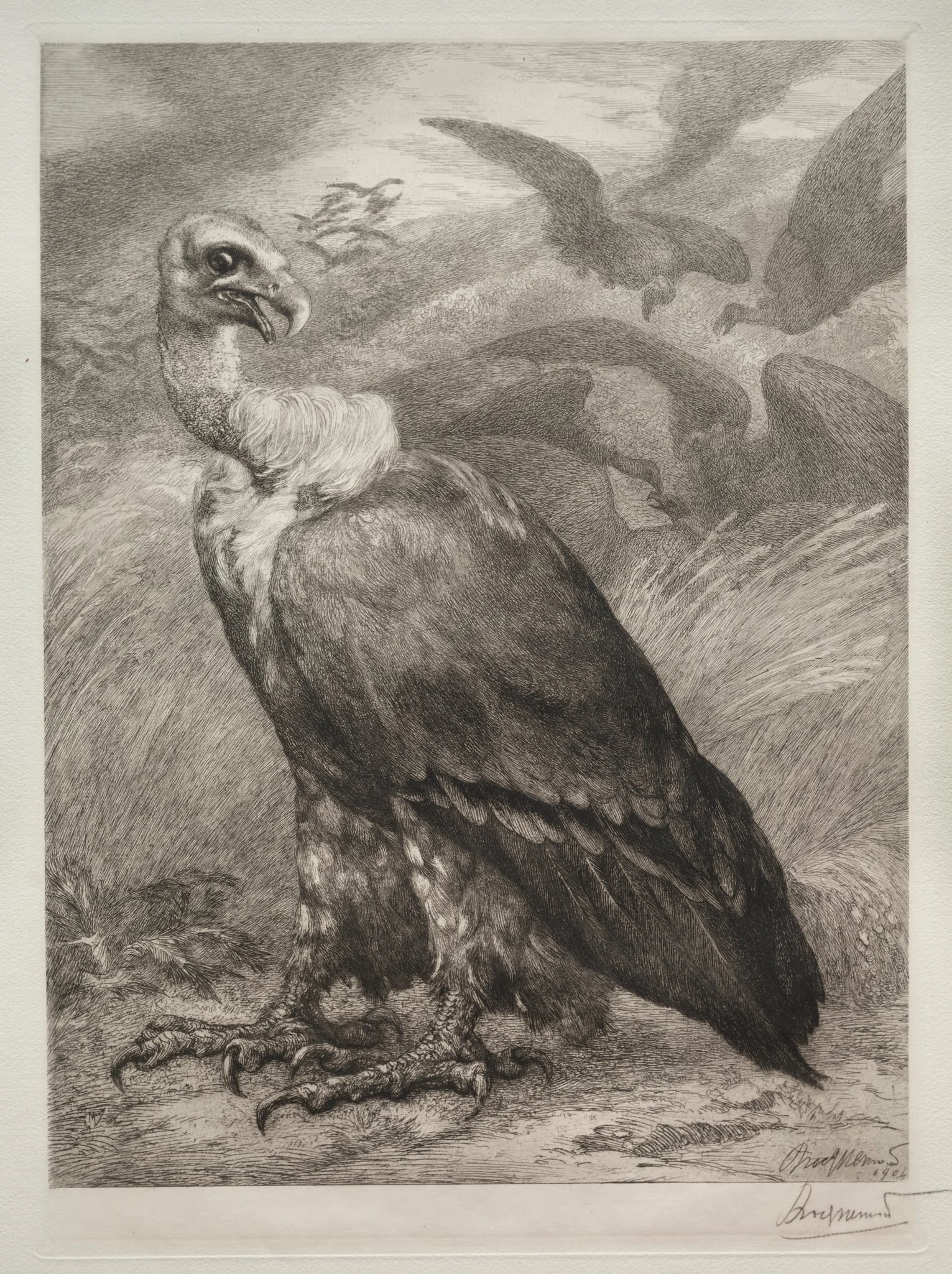 The Vulture, detail