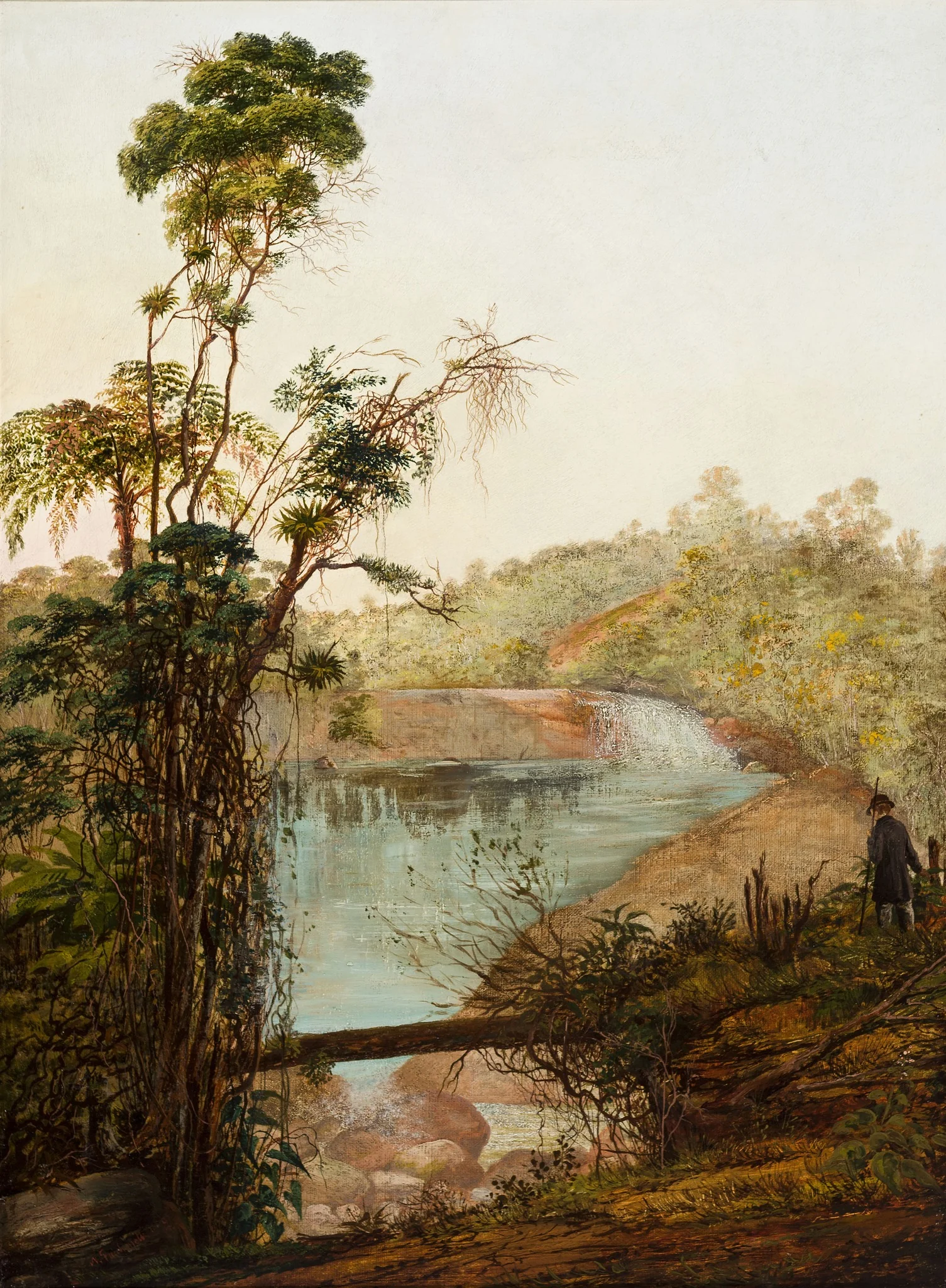 Cascata de Itamaraty em Petrópolis, detail