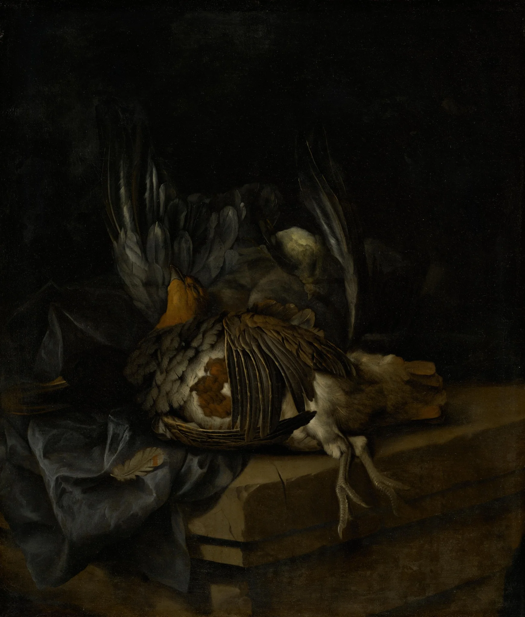 Stilleben mit Rebhuhn, Ente und Goldammer, detail