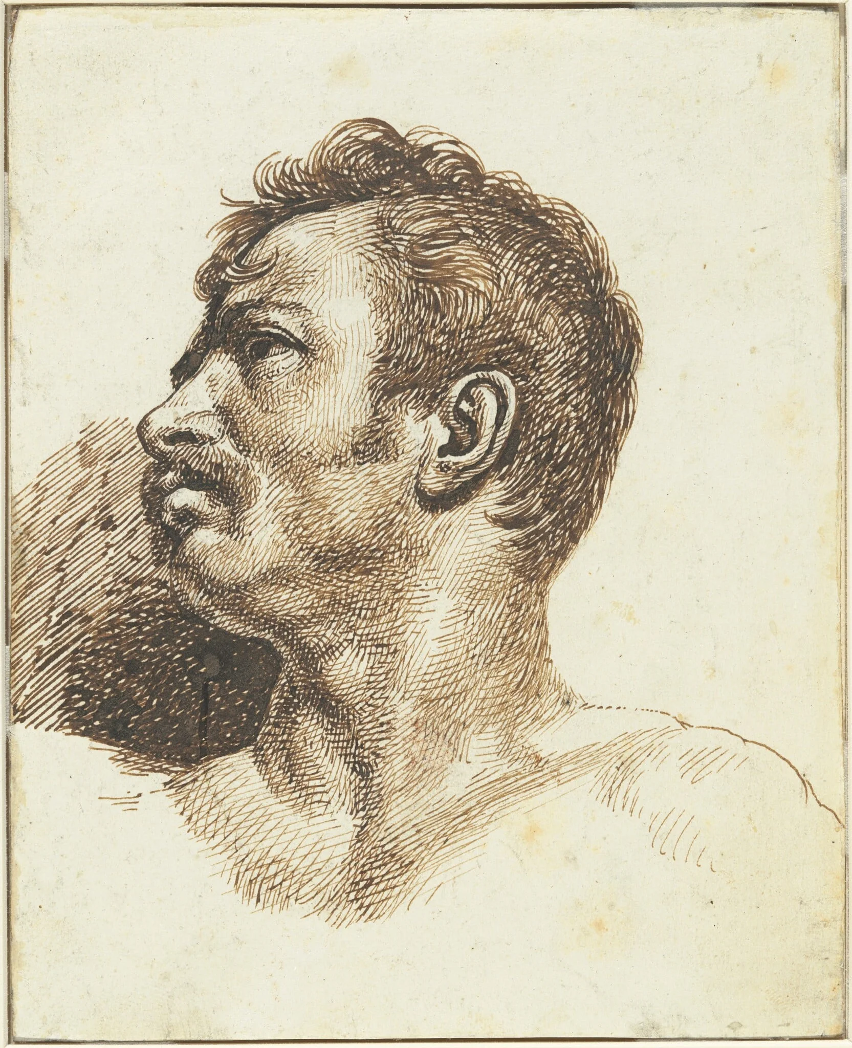 Head of a Man [recto], detail