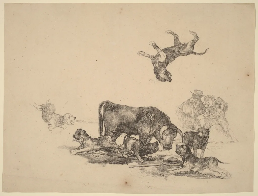 Bull Attacked by Dogs, by Francisco de Goya, ink, 1825