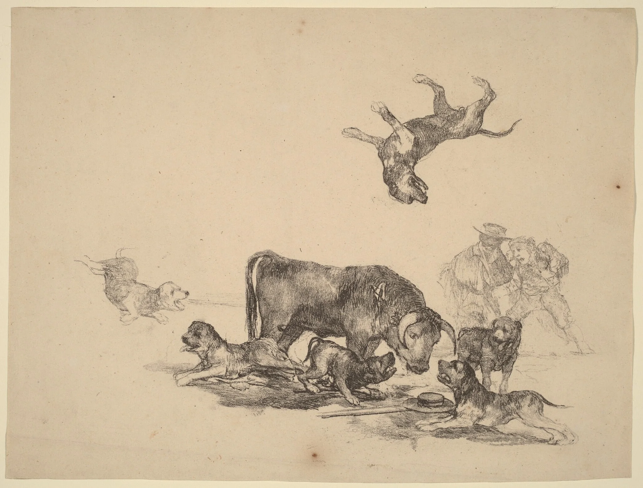 Bull Attacked by Dogs, detail