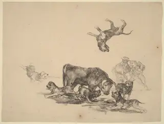 Bull Attacked by Dogs, by Francisco de Goya, ink, 1825