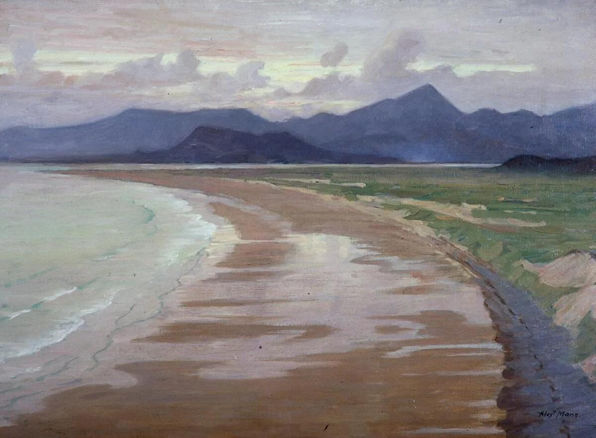 Tremadog Bay, detail