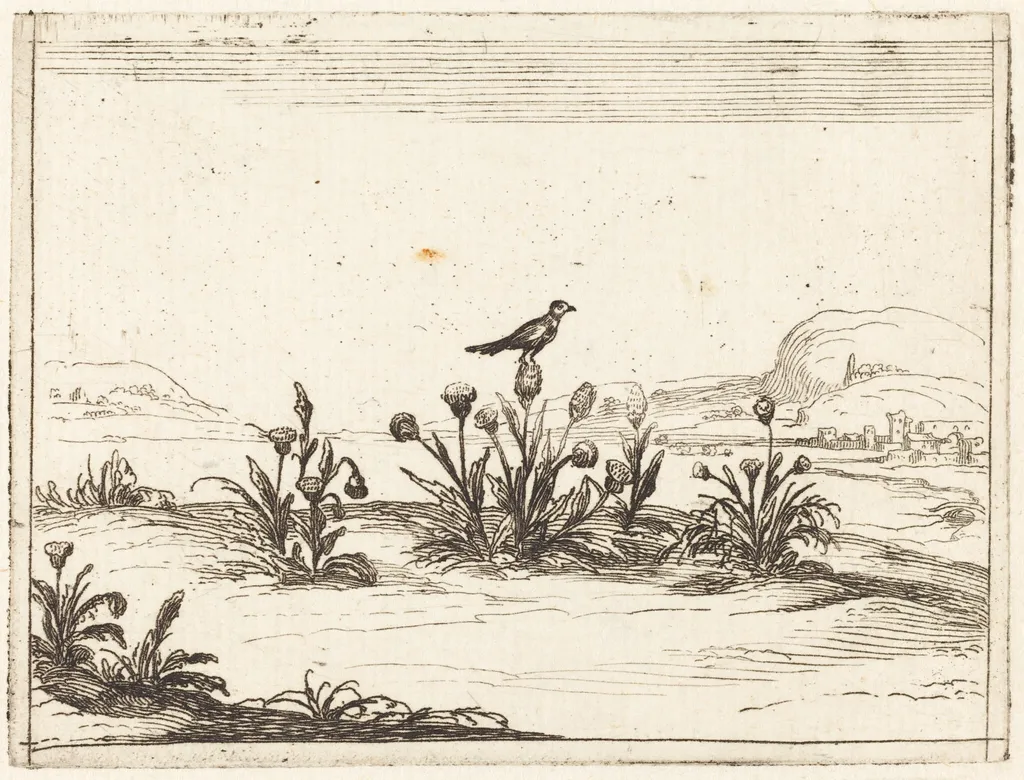 Bird Perched on a Thistle, by Jacques Callot, ink, 1628