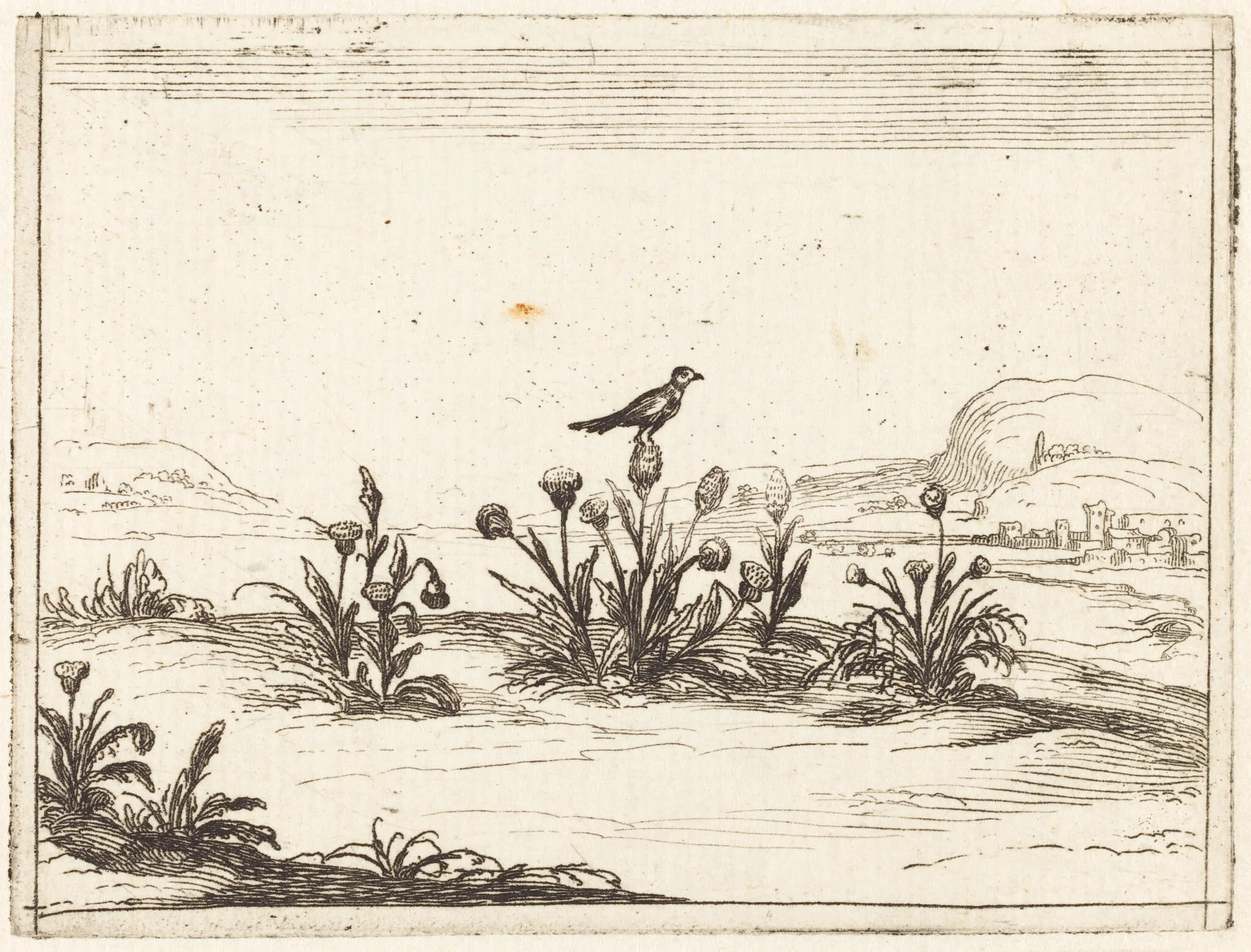 Bird Perched on a Thistle, detail