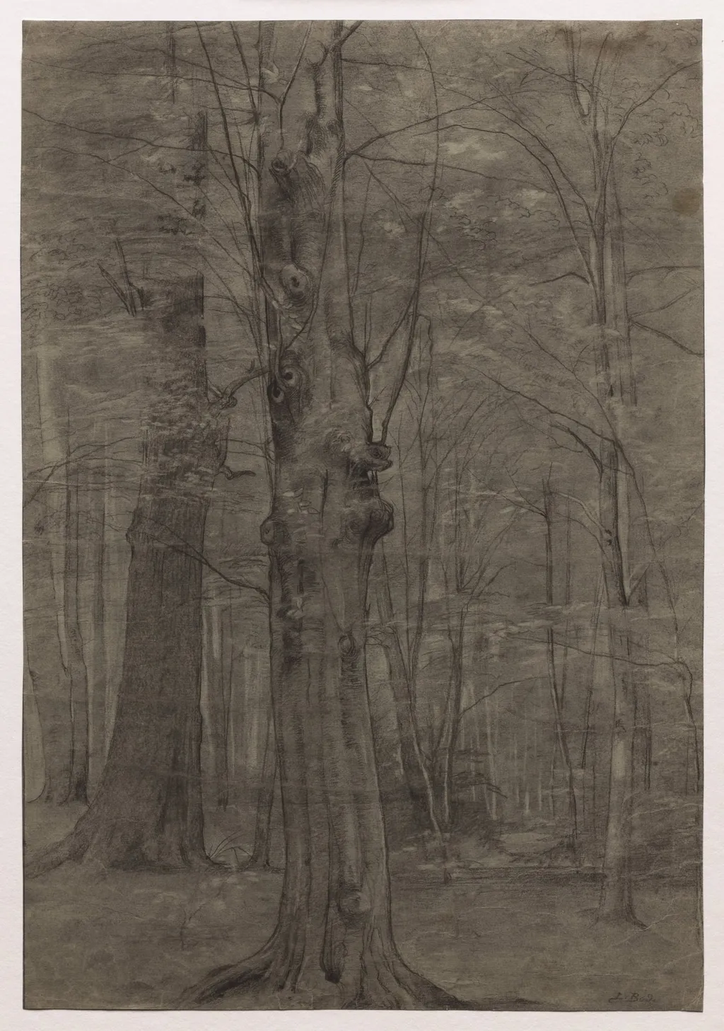 Trees, by Leopold Bode, 1878