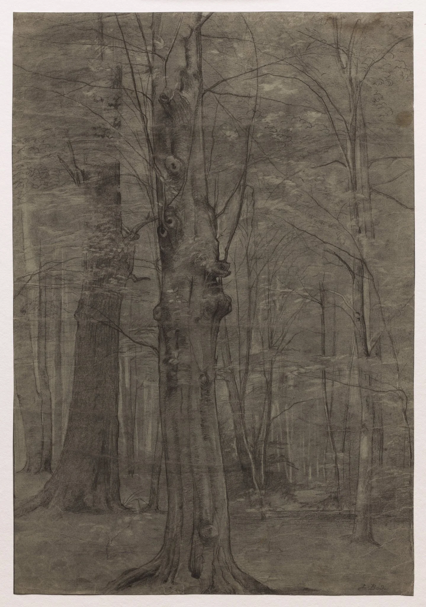 Trees, detail