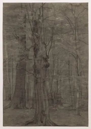 Trees, by Leopold Bode, 1878