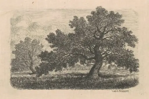Apple Trees, by Carl C. Brenner, ink, 1880