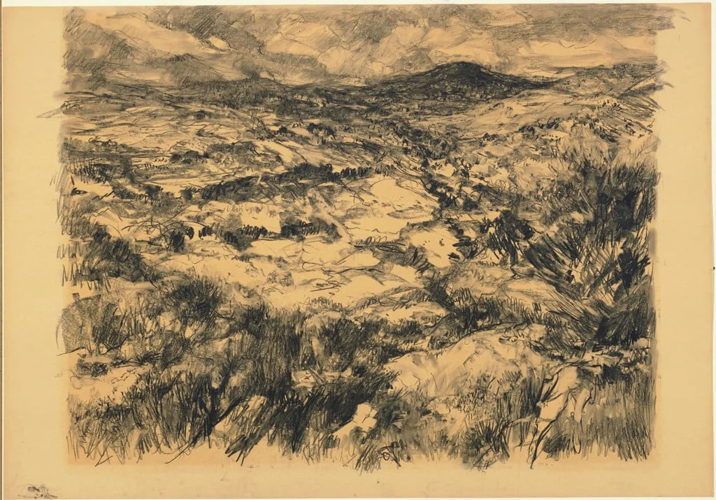 Untitled, detail