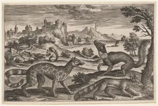 Weasels and Squirrels, by Adriaen Collaert, ink, 1597