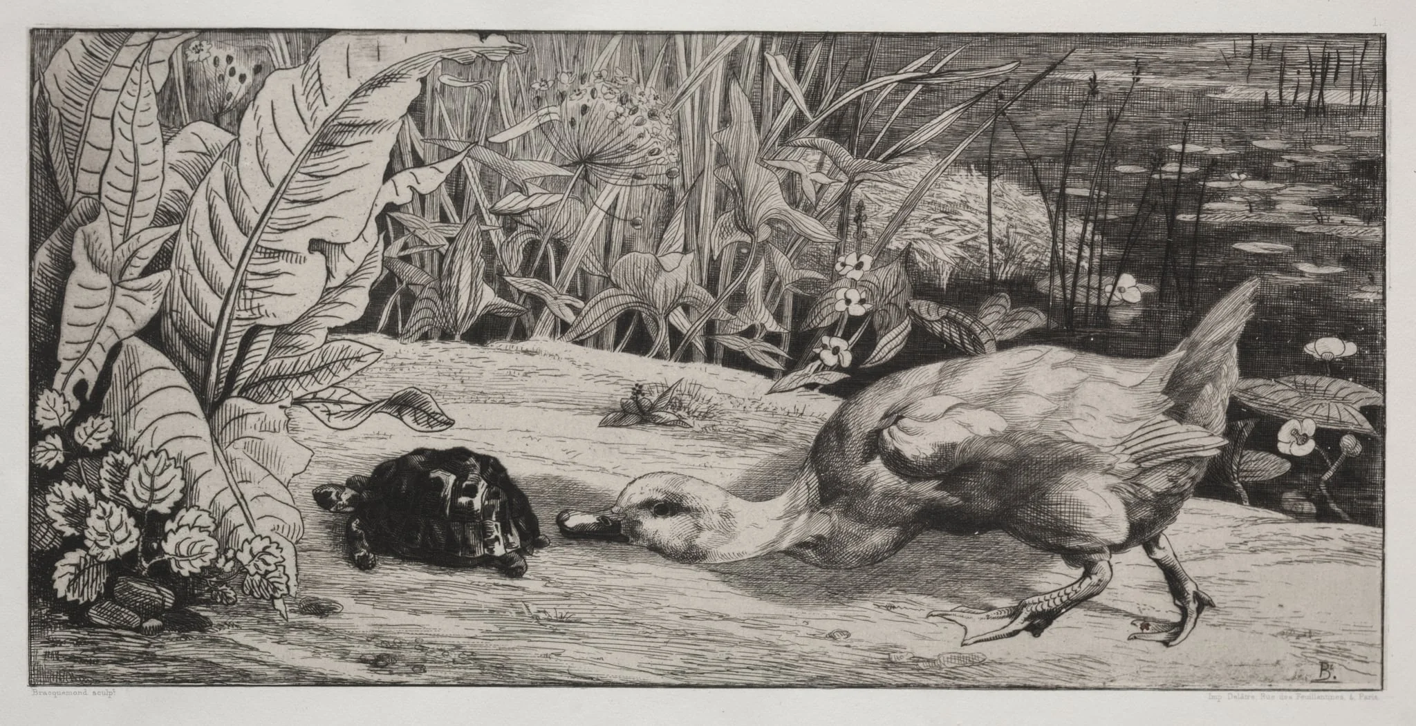 An Unknown, detail