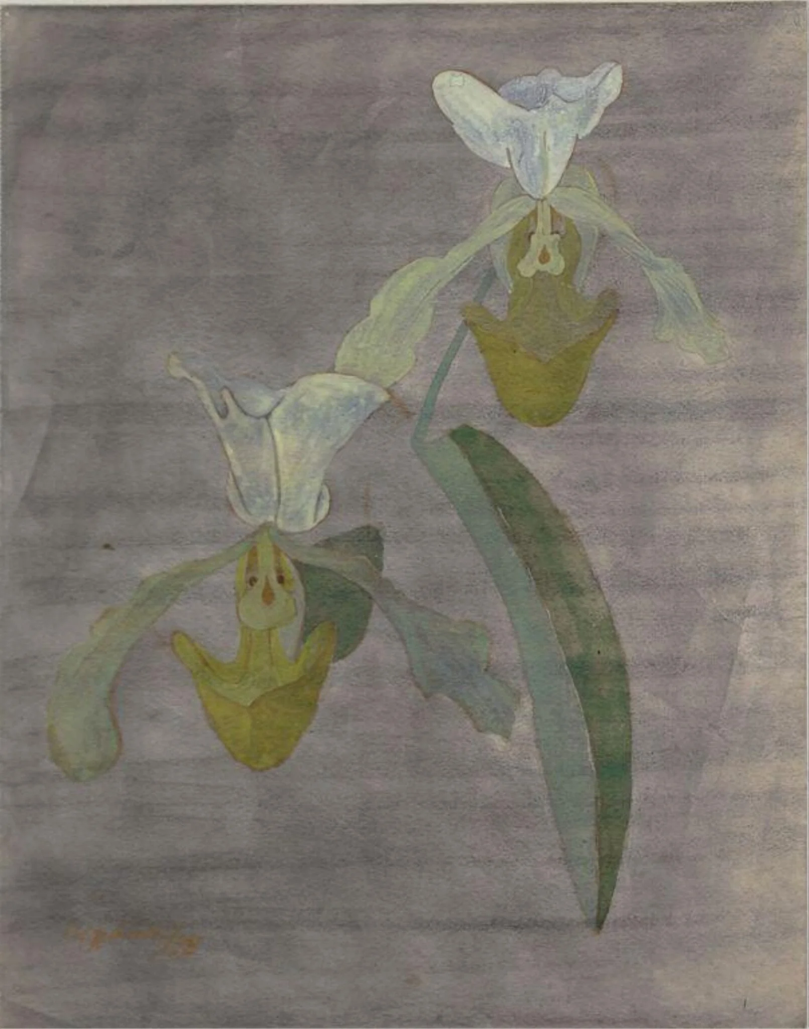 Orchids, detail