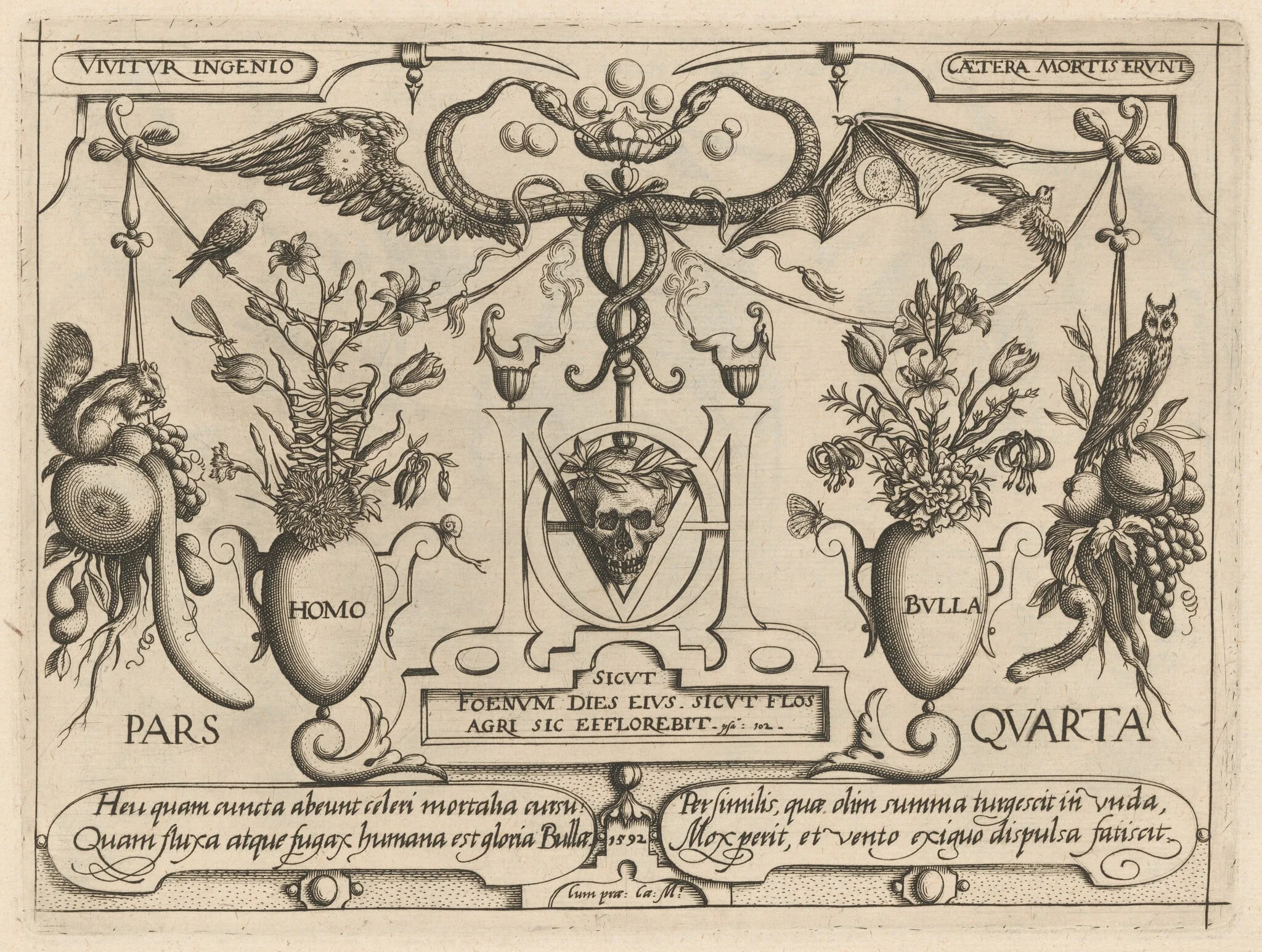 Archetypa studiaque patris Georgii Hoefnagelii [Part 4, Title Page], detail