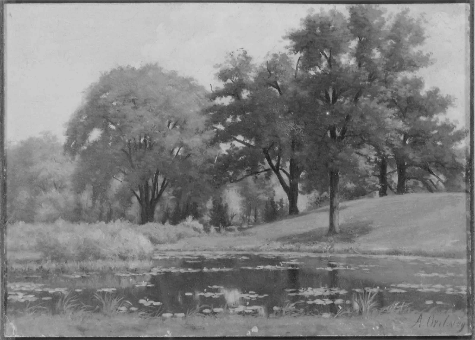 Landscape, detail
