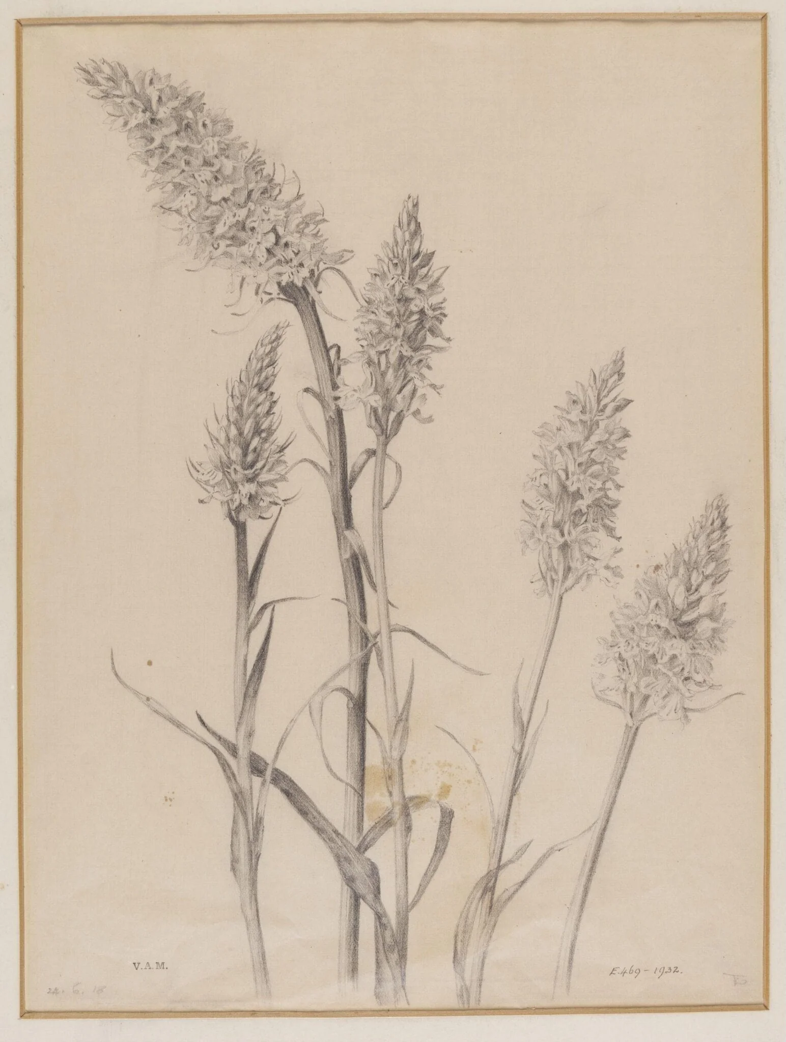 Untitled, detail
