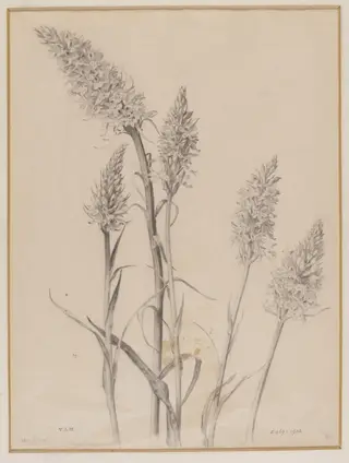 Untitled, by Edward Ingram Taylor, 24