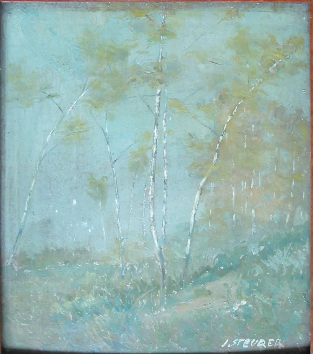 Mesteceni, detail