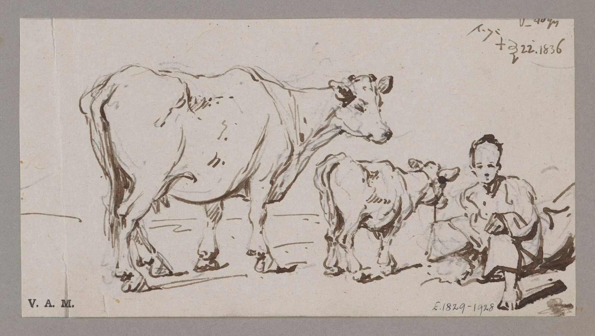 A cow and calf, with a crouching figure, detail
