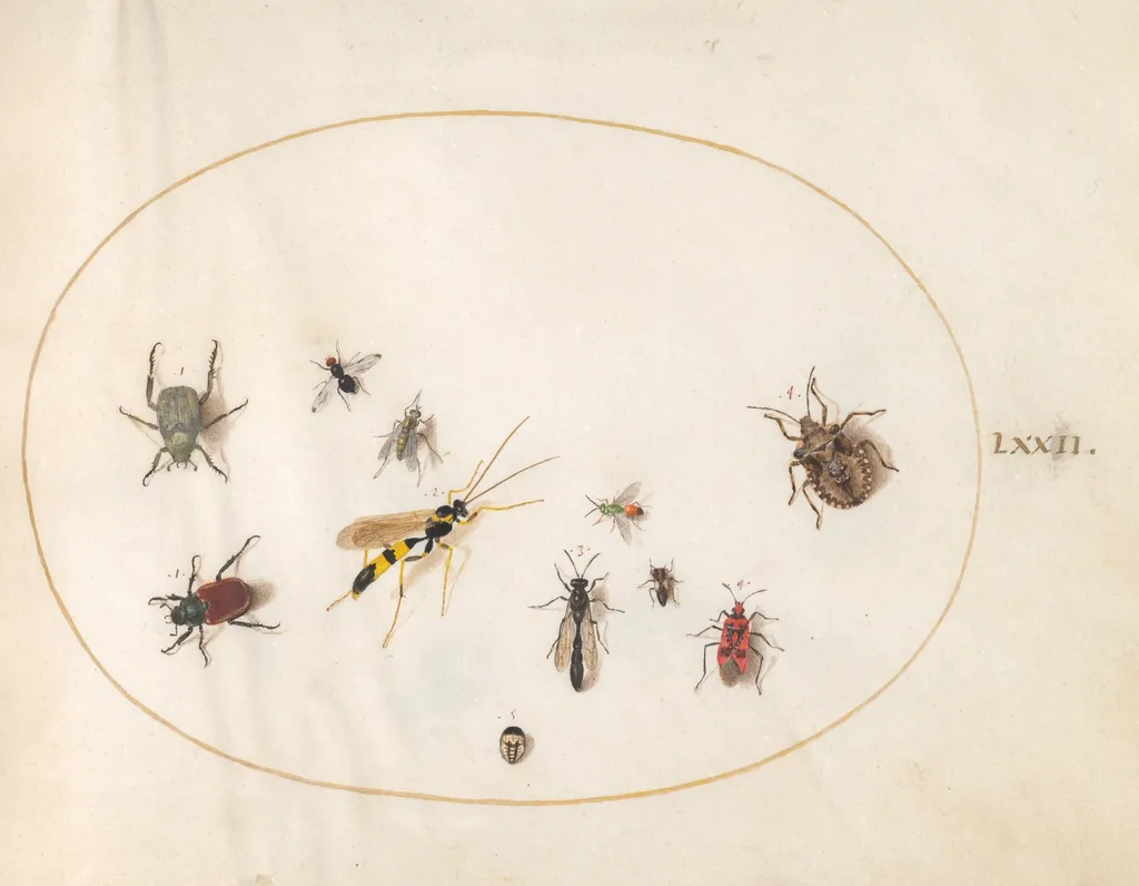 Plate 72: Shield Bug, Cinnamon Bug, Wasp, and Other Insects, by Joris Hoefnagel, gouache, 1594