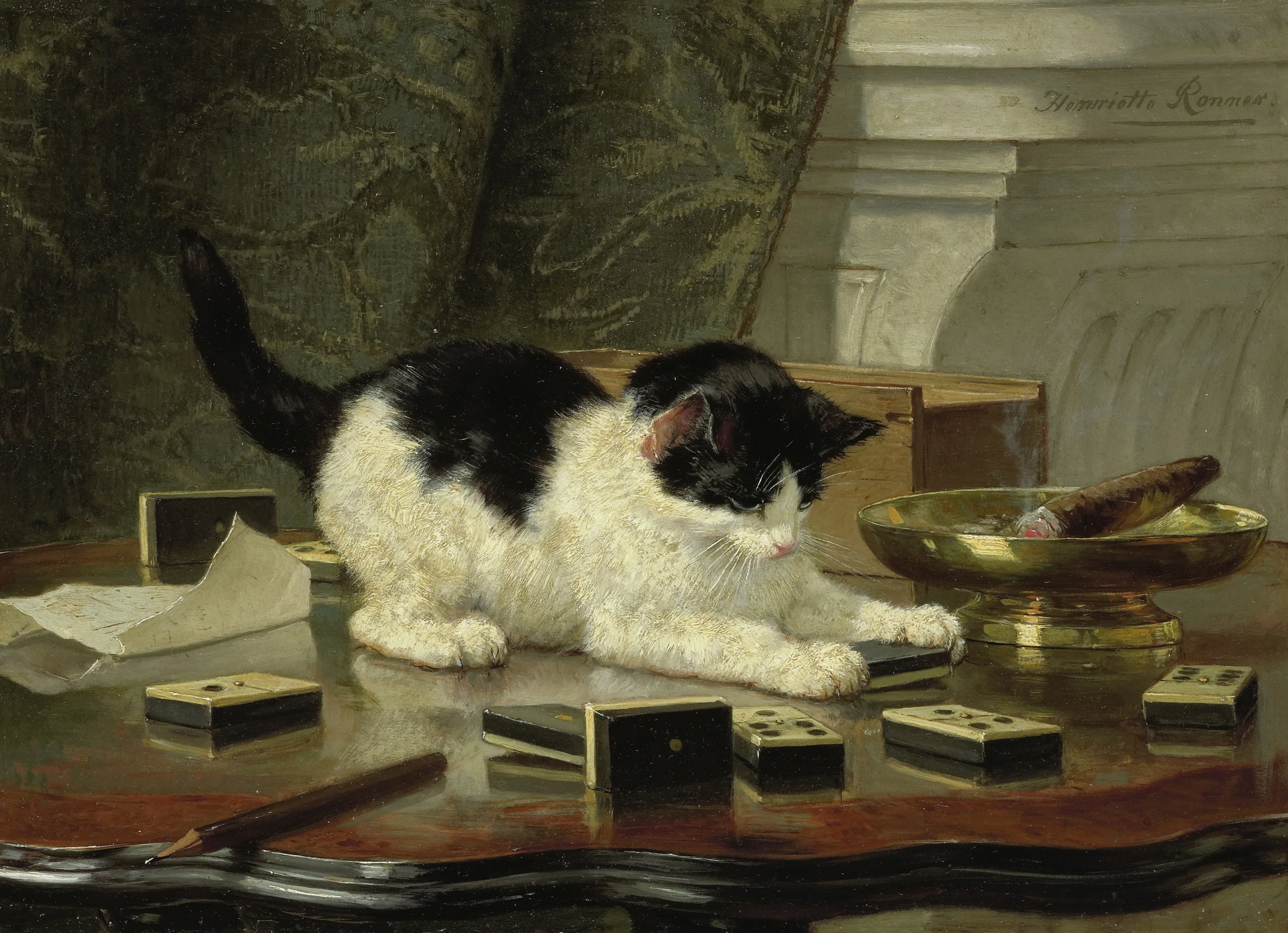 The cat at play, detail