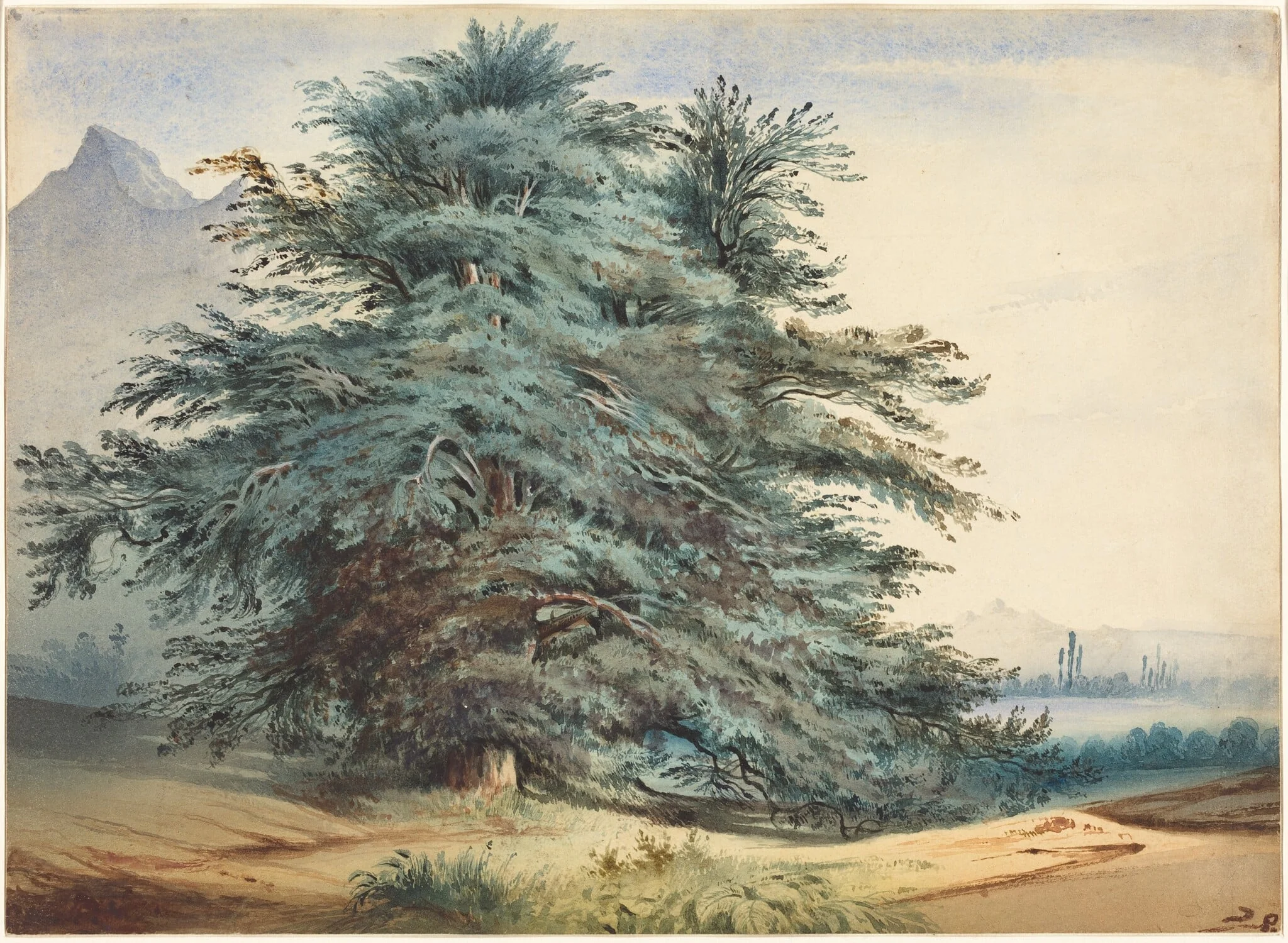 Two Ancient Trees before a Mountain Peak, detail