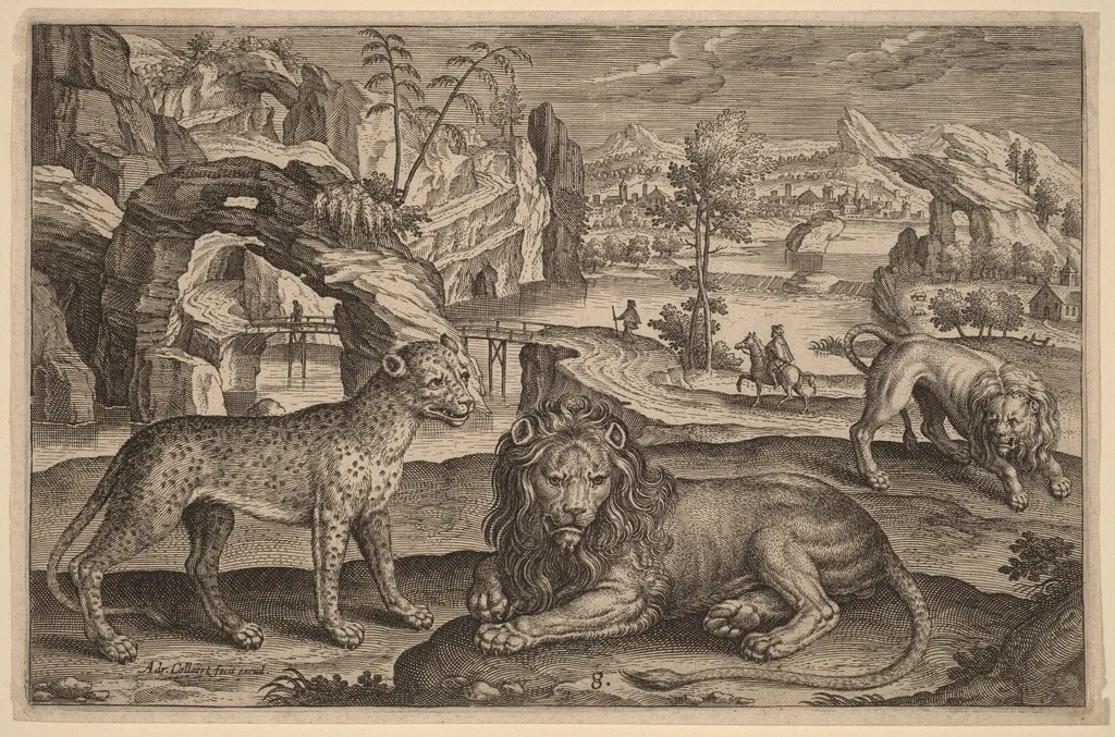 A Leopard and Two Lions, by Adriaen Collaert, ink, 1597